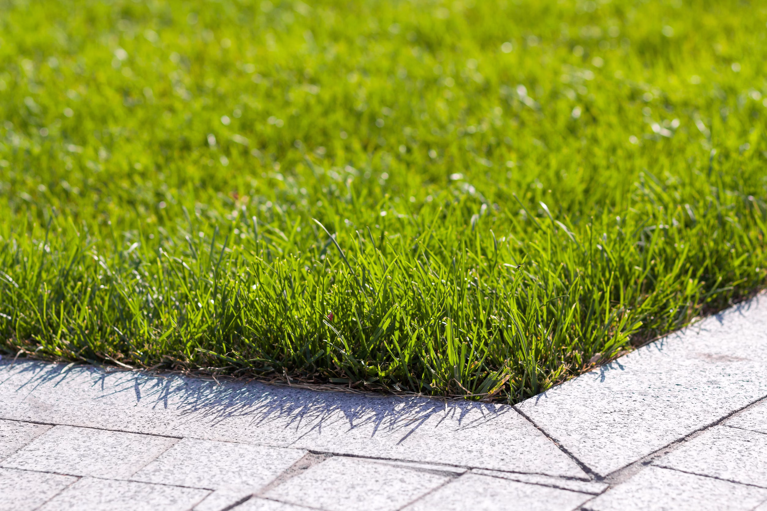 Landscape Maintenance in @fname@