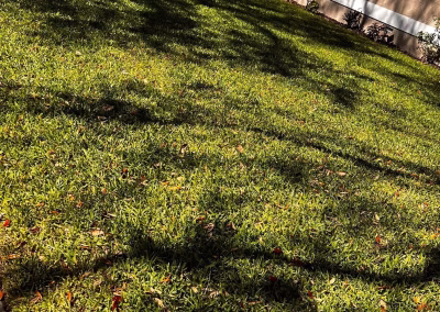 Commercial Lawn Care in @fname@