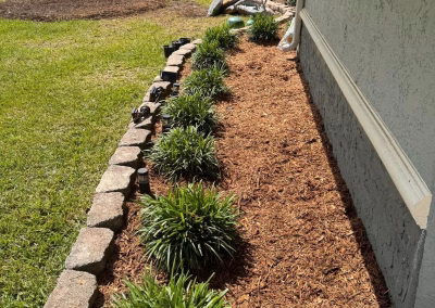 Shrub & Hedge Trimming in @fname@