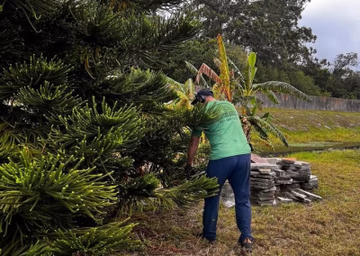 Leaf Cleanup in @fname@